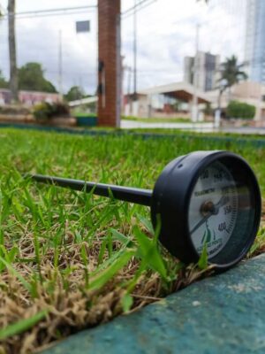 TERMOMETRO 0400  - 20 CM